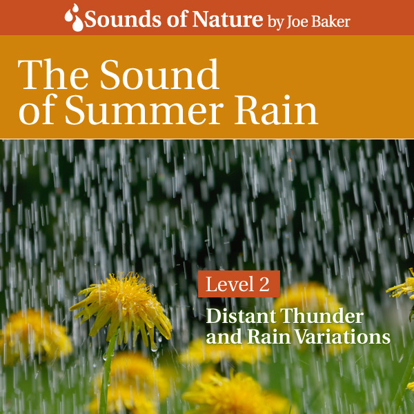 Nature Sounds by Joe Baker - Sound of Summer Rain